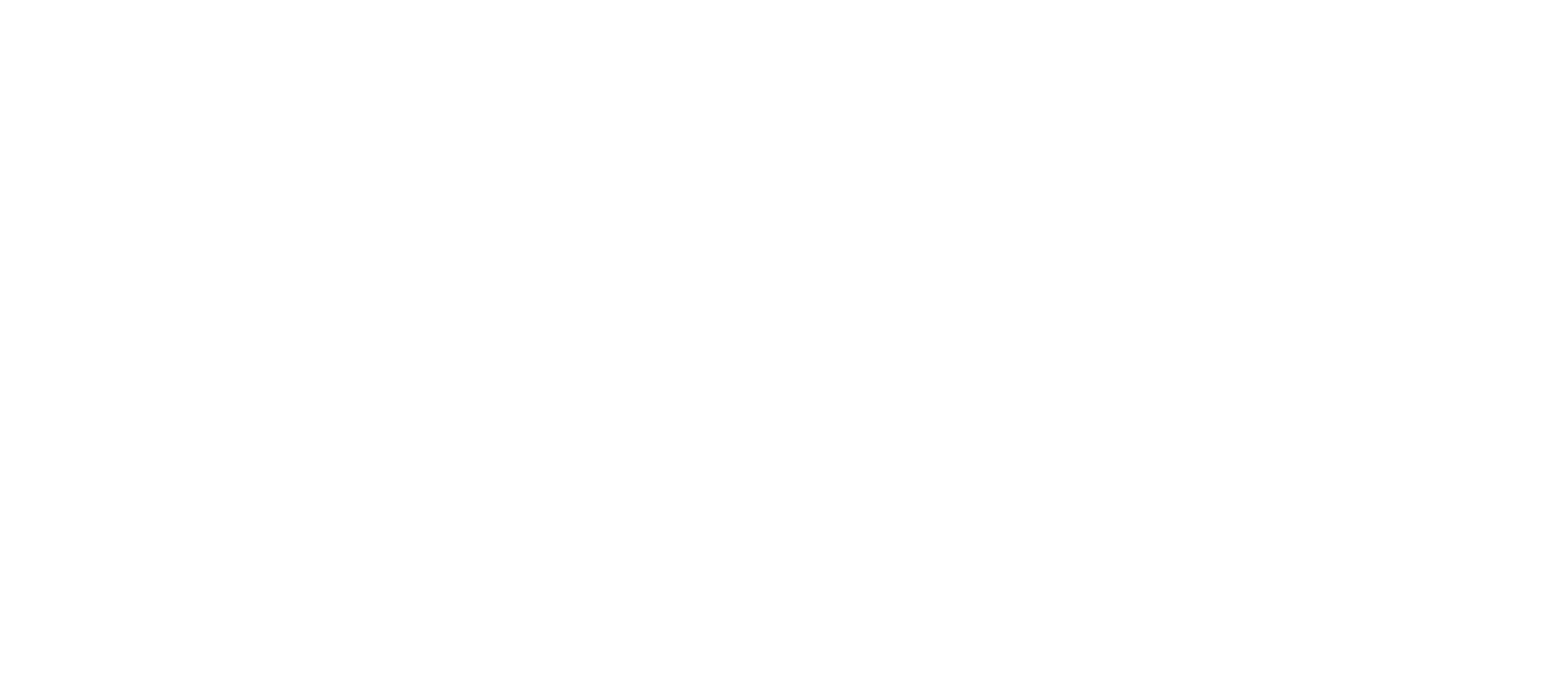 light logo